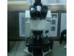 金相显微镜1台